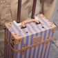 Pink & Blue Carry On